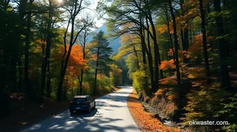 Exploring Nature Best Scenic Drives Near You